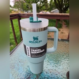 Seafoam Stanley cup